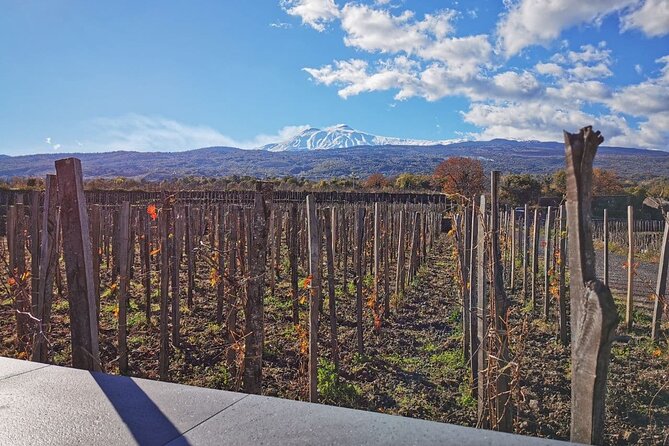Etna Wine and Alcantara with lunch - Getting From Catania: Jeep or Minibus Rhythm