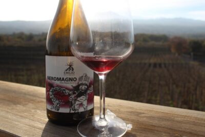 Etna Wine and Alcantara with lunch - Mount Etna Trek at 2,000 Meters and the Lava Cave Experience