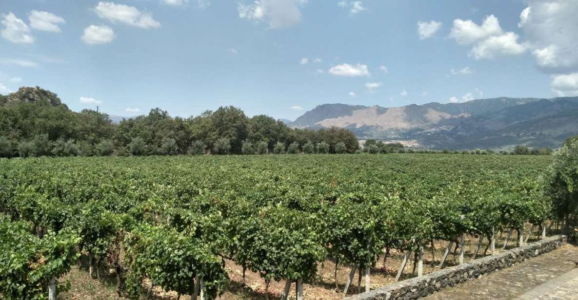Etna: Wine Tasting and Food Tour - Key Things I’d Put at the Top of Your Checklist
