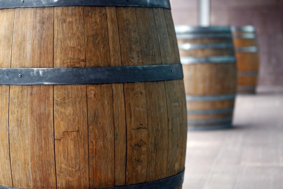 Etna: Wine Tasting and Food Tour - Vineyards After Lunch: Behind-the-Scenes Etna Wine Time
