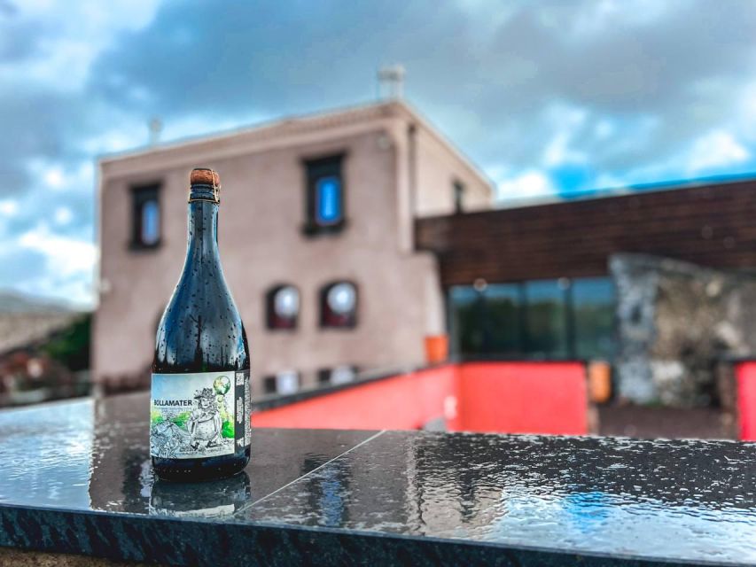 Etna: Wine Tasting and Food Tour - Who Should Book This Tour (and Who Might Not Love It)