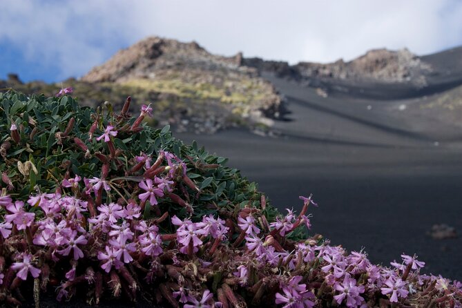 Etna's Hidden Gems - Trek Valle Bove & Lava Tunnel with Gear - How long this day takes, and how to plan your energy