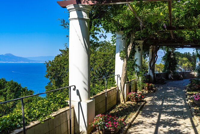 Exclusive Capri, Anacapri & Blue Grotto Private Tour from Naples - Price and value at $574.45 per person: who this private day makes sense for
