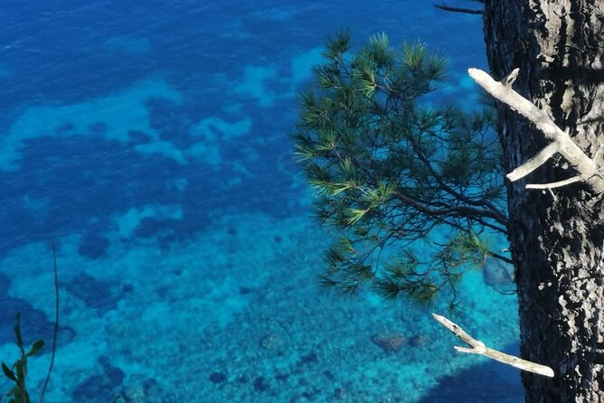 Exclusive Private Boat Tour to capri & Amalfi coast from Sorrento - Price and Extra Fees: What You’re Really Paying For