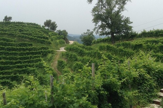Exclusive Prosecco Wine Tour from Venice - Small Group - Buying wine and getting it home: more helpful than you might expect
