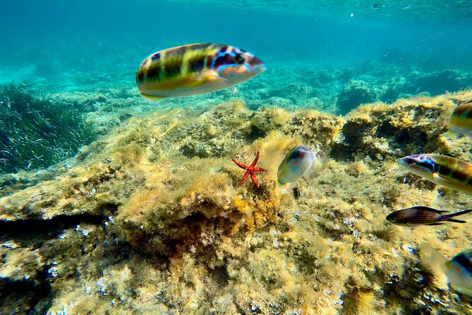 Exclusive tour max 9 people Tropea Coast of the Gods - Grotta dello Scheletro: Skeleton Cave and the Kind of Stillness You Notice