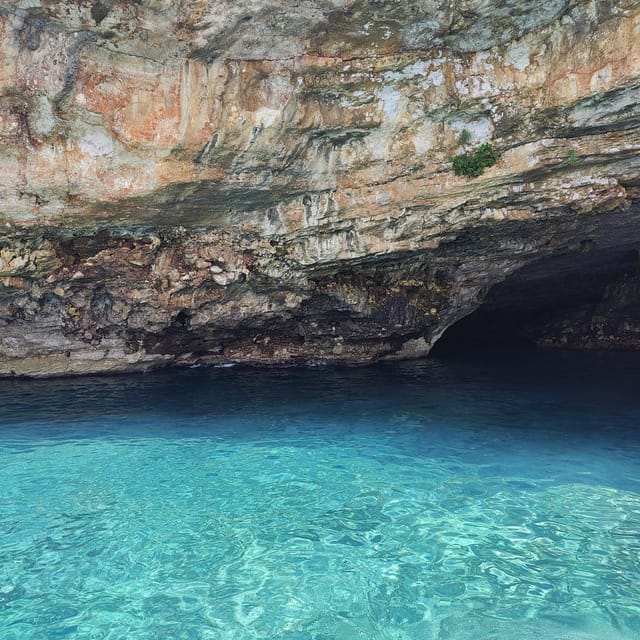 EXCURSION VISIT TO THE SANTA MARIA DI LEUCA CAVES - The Coast Cruise and Cave Sightings: How the Captain Makes It Click