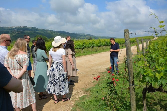 Experience Chianti & Cheese w/ 3 wineries & dairy visit—max 8 pp - The Florence start: simple meeting point, clear flow