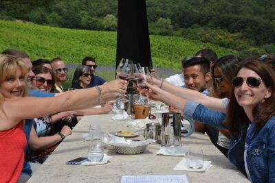 Experience Chianti & Cheese w/ 3 wineries & dairy visit—max 8 pp - Three winery stops: what you should expect to learn