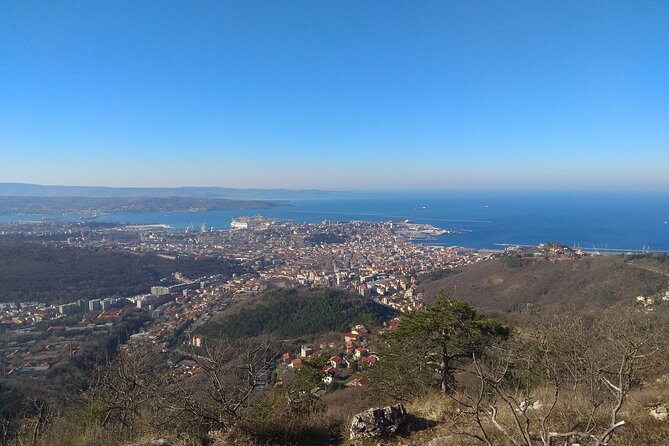 Experience Trieste - Roman Marks, Jewish History, and the Power of Guided Context