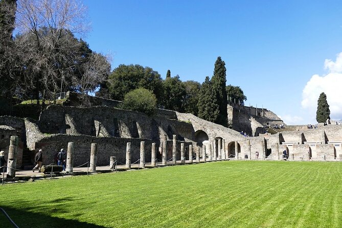 Explore Pompeii Half Day Highlights Tour with Pickup from Naples - Price and value: what $84.44 buys you in real terms