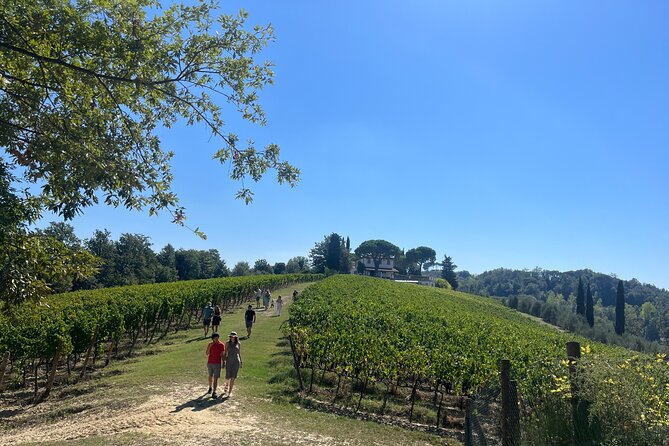 Farm To table Experience on an organic hilltop estate in Tuscany - Agriturismo Tenuta Chiudendone: vineyards, olive trees, and ingredient hunting