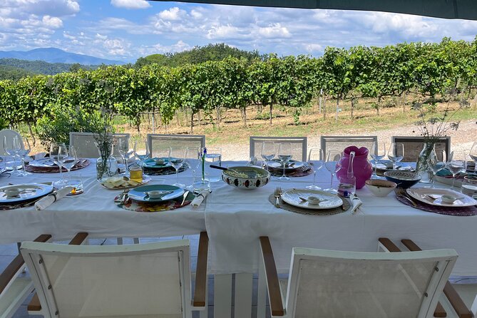 Farm To table Experience on an organic hilltop estate in Tuscany - Cooking with the owners: hands-on Tuscan skills for beginners