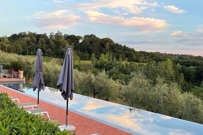 Farm To table Experience on an organic hilltop estate in Tuscany - Who this experience is best for (and who should think twice)