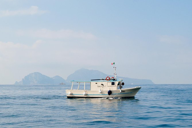 Fishing and Tourism in Capri - Stop 1: Capri with a choice—fish longer or explore 2 hours