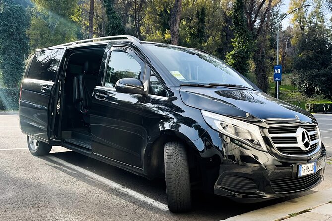 Fiumicino Airport (FCO) to Rome - Private Arrival Transfer - Drivers and professionalism: what you can expect from the people part
