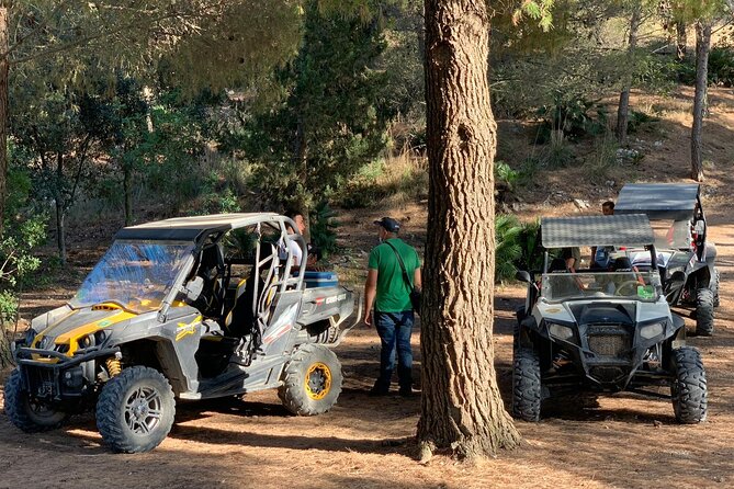 five sense outdoor experience - Monte Pispisa forest: where Mediterranean plants become practical history