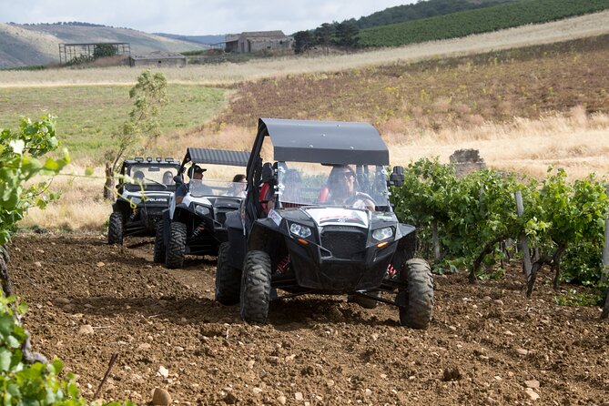 five sense outdoor experience - Castellammare del Golfo and Trapani vineyards: agriculture that tastes like Sicily