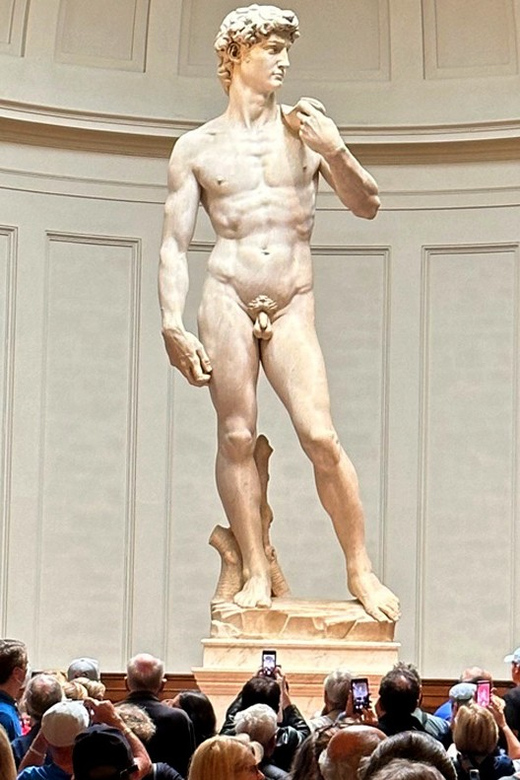 Florence: Accademia Gallery & David Skip-the-Line Ticket - Meeting in Piazza delle Belle Arti: Finding the Florence with Elvis Host