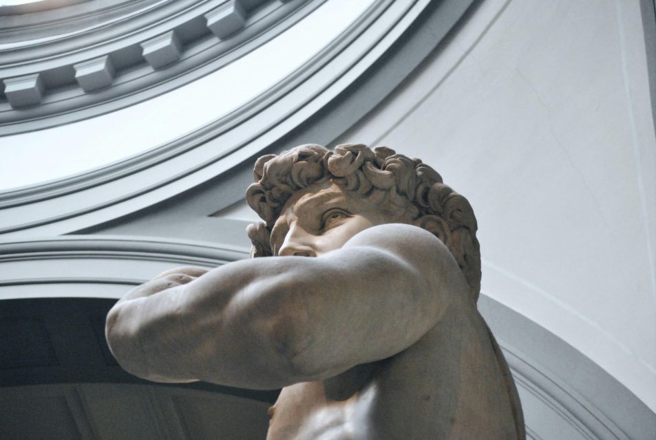 Florence: Accademia Gallery Entry Ticket & David Guided Tour - Should you book this David tour?