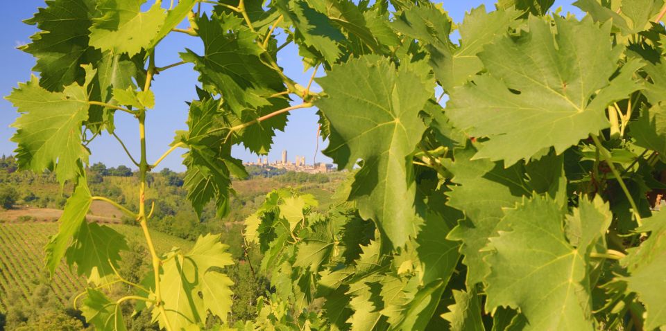 Florence: Chianti Villages, San Gimignano and Winery Tour - What to wear and bring for a smooth day