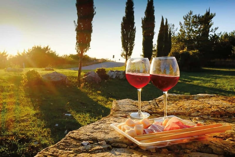 Florence: Chianti Vineyards Tour with Wine Tasting & Dinner - Key things to know before you go