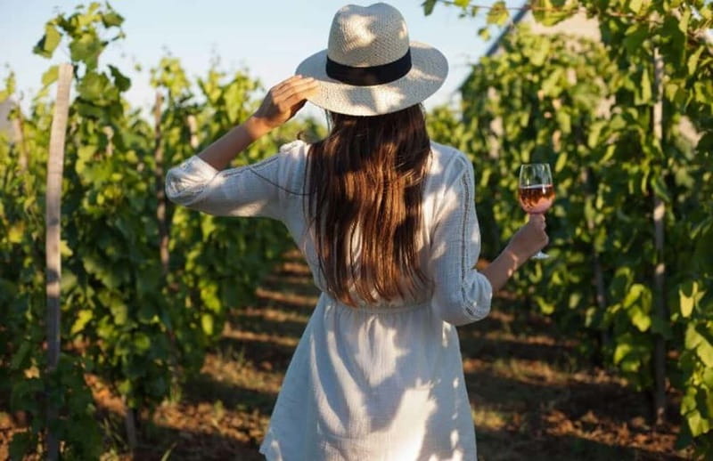 Florence: Chianti Vineyards Tour with Wine Tasting & Dinner - The candlelit vineyard dinner: why the setting matters