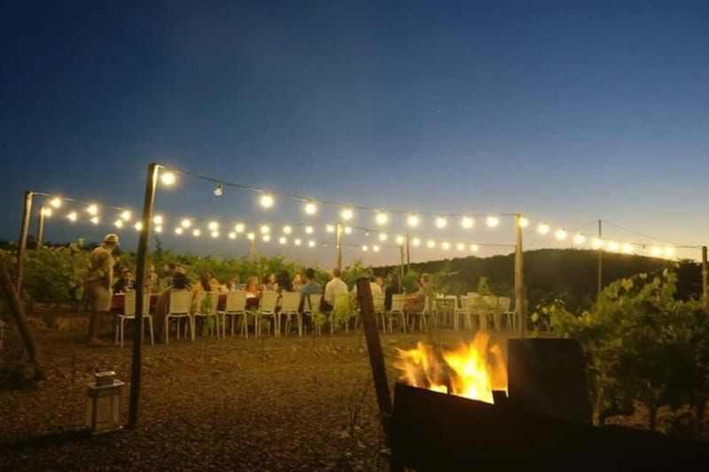 Florence: Chianti Vineyards Tour with Wine Tasting & Dinner - Wine and food pacing: staying comfortable through the feast