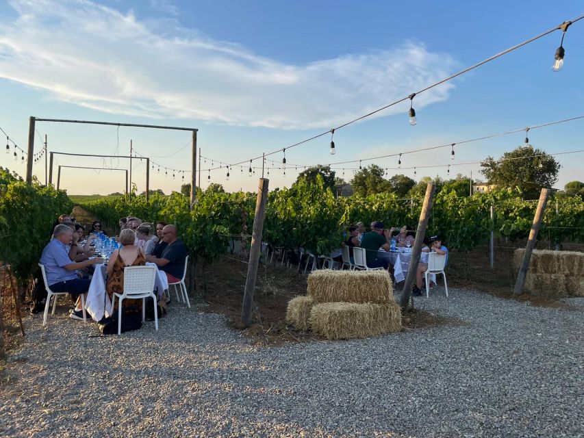 Florence: Chianti Vineyards Tour with Wine Tasting & Dinner - Getting to and from Chianti without stress