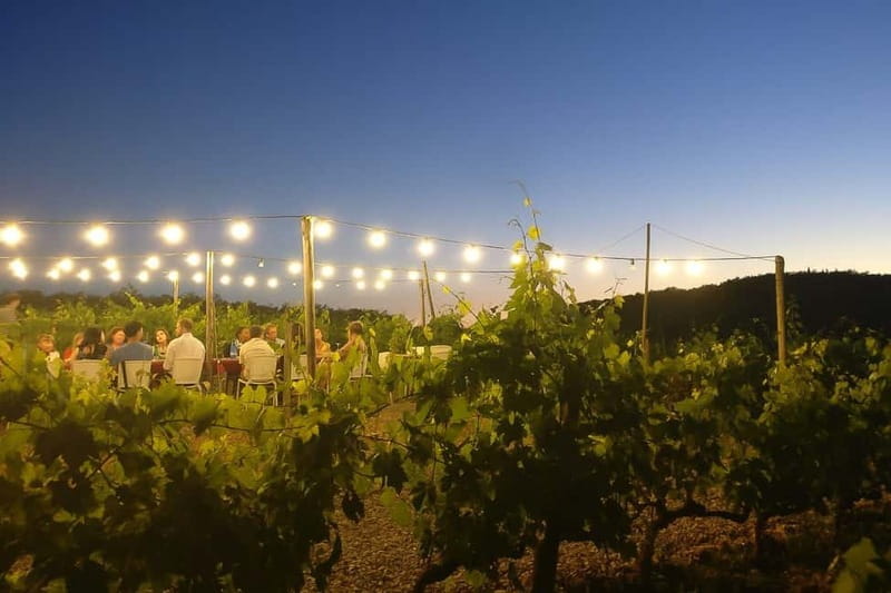Florence: Chianti Vineyards Tour with Wine Tasting & Dinner - Cost and value: is $123.48 a good deal?