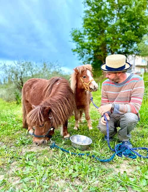 Florence: Countryside Tour with Wine Tasting & Pasta Class - Vineyard and Botanical Garden Walk: Olive Trees, Plant Stories, and Farm Animals