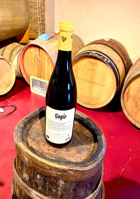 Florence: Countryside Tour with Wine Tasting & Pasta Class - Should You Book This Tuscan Farm Day Trip?