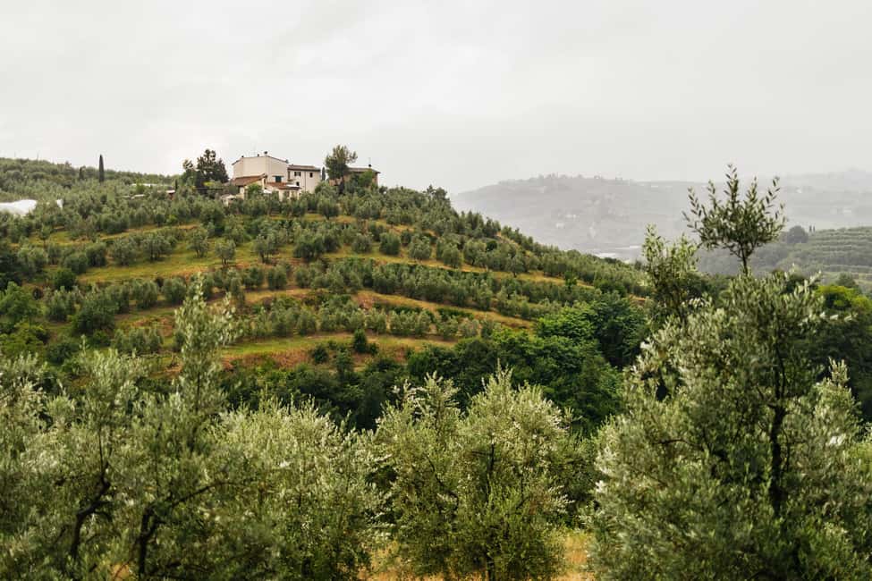 Florence: Countryside Vintage Fiat 500 Driving Tour - Why This Florence Fiat 500 Tour Feels So Different