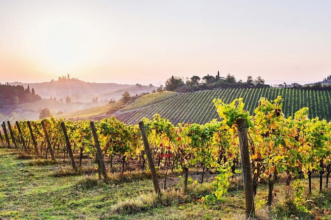 Florence Day Trip to Siena & San Gimignano with Scenic Views - Price Value: Is $59.26 Worth It?