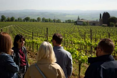Florence: Valdorcia Wine, Brunello Montalcino, Montepulciano - Meet Florence, Then Let the Rolling Hills Take Over