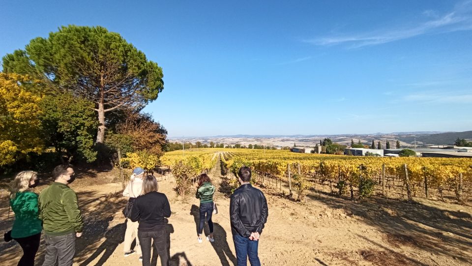 Florence: Valdorcia Wine, Brunello Montalcino, Montepulciano - Montepulciano’s Underground City: Vino Nobile Meets Olive Oil