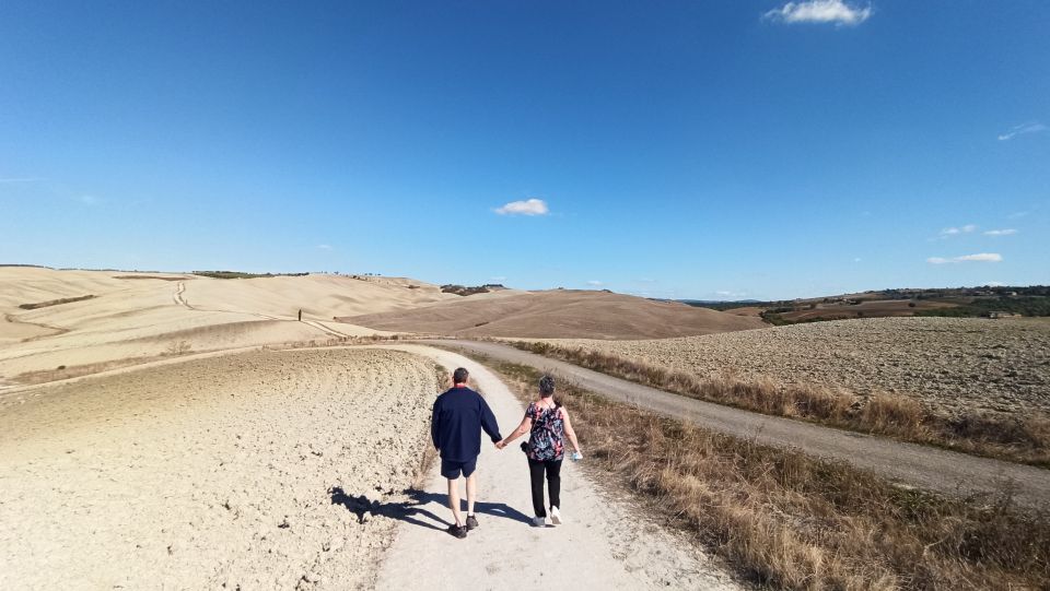 Florence: Valdorcia Wine, Brunello Montalcino, Montepulciano - Price and Value: Why $265 Usually Works for This Kind of Day