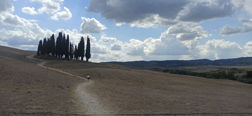 Florence: Valdorcia Wine, Brunello Montalcino, Montepulciano - Who Should Book This Tour From Florence