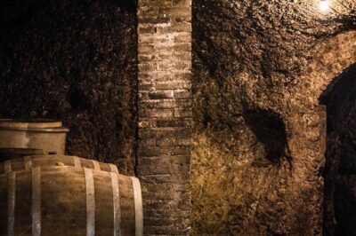 Frascati Day Tour: Road from Rome with Wine Tasting & Lunch - Walking Frascati’s Streets: Botteghe, Porchetta, Biscotti