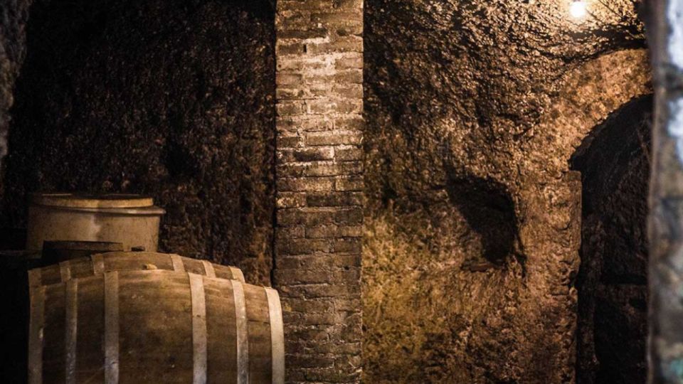 Frascati Wine Road from Rome: Tasting & Lunch - Wine tasting: 3 Frascati styles with snacks and olive oil