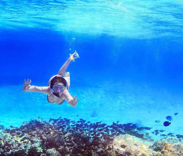 From Amalfi: Capri Island Boat Tour with Snorkeling & Drinks - Capri time: why 3 hours is enough (and how to spend it)
