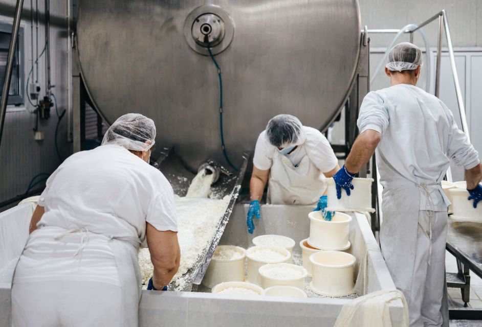 From Bologna: Parma Cheese & Ham Factory Tours and Tastings - Parmigiano Reggiano producer: caldere, brine, and judging by age