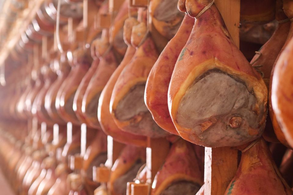 From Bologna: Parma Cheese & Ham Factory Tours and Tastings - Who this Parma cheese and ham day is best for