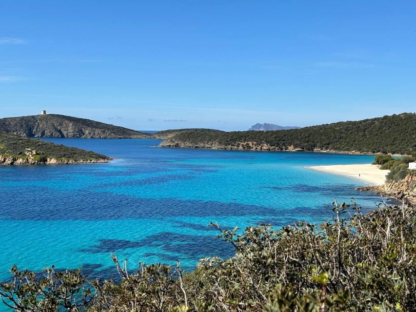 From Cagliari: Chia and Tuerredda Full-Day Beach Tour - Chia and Su Giudeu (3 hours): dunes, junipers, and golden sand