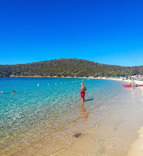 From Cagliari: Chia and Tuerredda Full-Day Beach Tour - Flamingos at Capo Spartivento and Santa Gilla: wildlife you can plan around