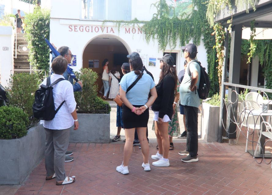 From Capri: Blue Grotto, Capri and Anacapri Guided Tour - Capri Town Walks: Main Square Energy, Bougainvillea Streets, and Free Time