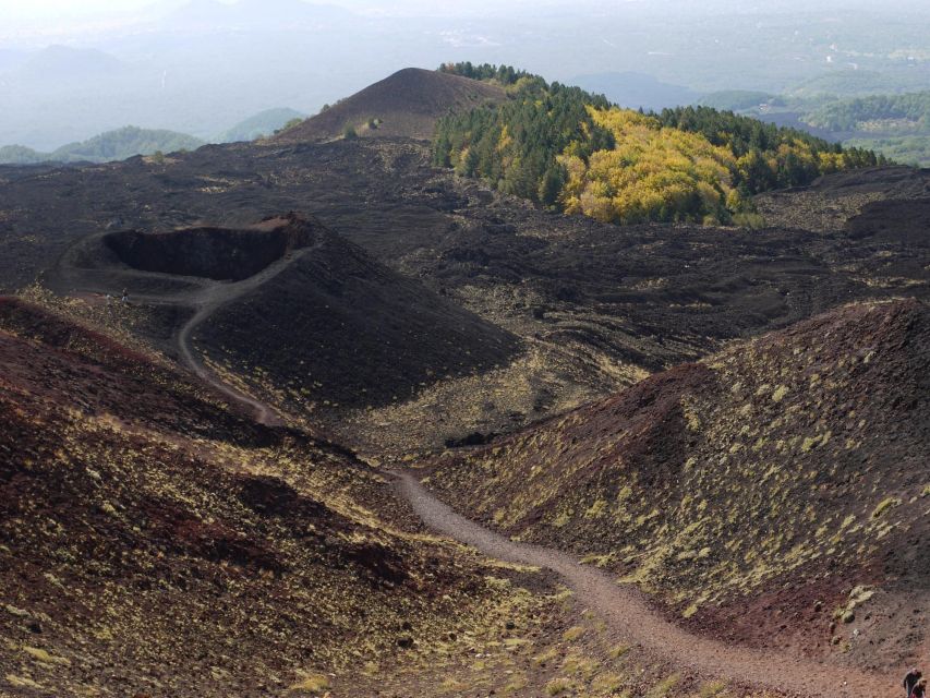From Catania: Etna tour by Panoramic Bus - Price and value: what you’re paying for at about $51