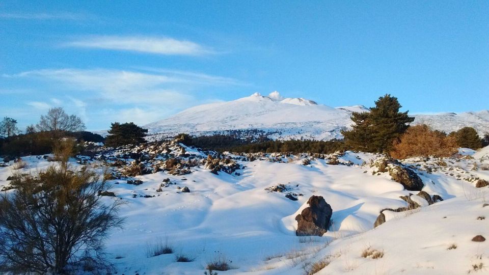 From Catania: Guided Tour of Mount Etna and Taormina - Taormina with free time: how to use your two hours well