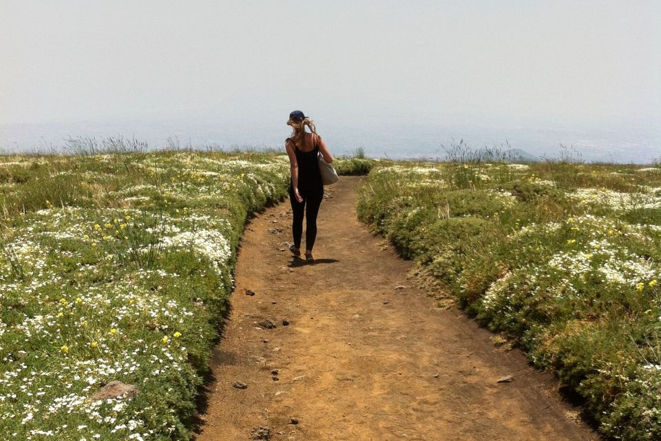 From Catania: Mount Etna Half-Day Tour and Wine Experience - The Etna “in-between” time: how the free period fits