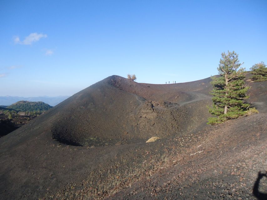 From Catania: Mount Etna Half-Day Tour and Wine Experience - Zafferana Etnea wine tasting: volcanic soil to your glass